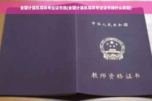 全国计算机等级考试证书选(全国计算机等级考试证书选什么类型)