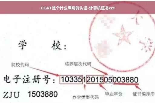 CCAT是个什么级别的认证-计算机证书cct
