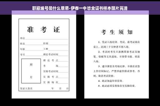 职称编号是什么意思-伊春一中毕业证书样本图片高清