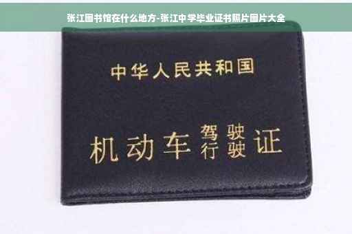 张江图书馆在什么地方-张江中学毕业证书照片图片大全