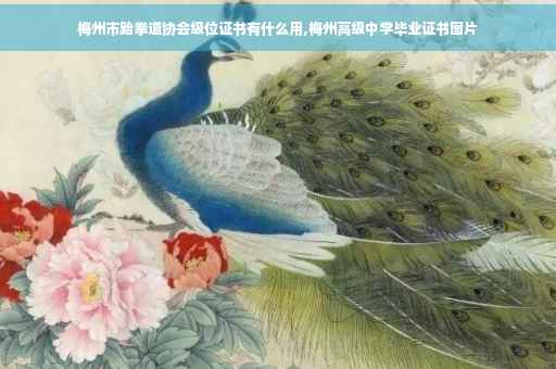 梅州市跆拳道协会级位证书有什么用,梅州高级中学毕业证书图片