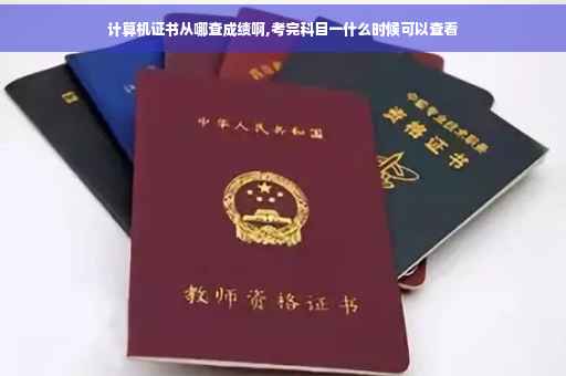 计算机证书从哪查成绩啊,考完科目一什么时候可以查看