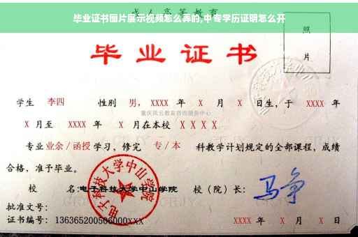 毕业证书图片展示视频怎么弄的,中专学历证明怎么开