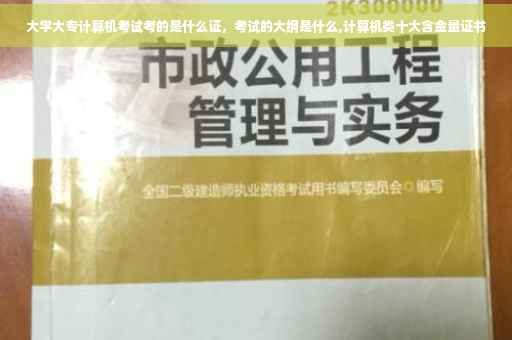 大学大专计算机考试考的是什么证，考试的大纲是什么,计算机类十大含金量证书