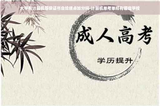 大学有计算机等级证书会给绩点加分吗-计算机单考单招有哪些学校