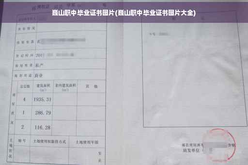 巍山职中毕业证书图片(巍山职中毕业证书图片大全)