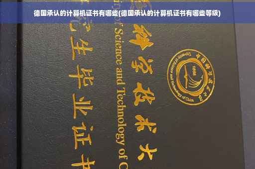 德国承认的计算机证书有哪些(德国承认的计算机证书有哪些等级)
