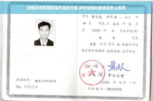 云帐本变现是微信还是支付宝,农村信用社股金证怎么变现