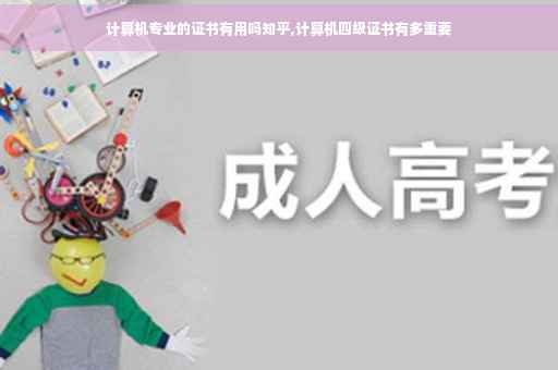 计算机专业的证书有用吗知乎,计算机四级证书有多重要