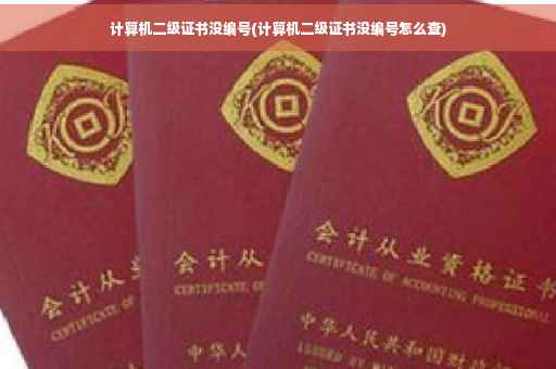 计算机二级证书没编号(计算机二级证书没编号怎么查)