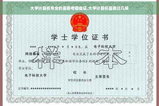 大学计算机专业的需要考哪些证,大学计算机需要过几级