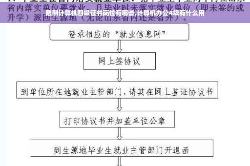 限制计算机四级证书岗位有哪些,计算机办公4级有什么用