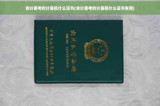 会计要考的计算机什么证书(会计要考的计算机什么证书有用)