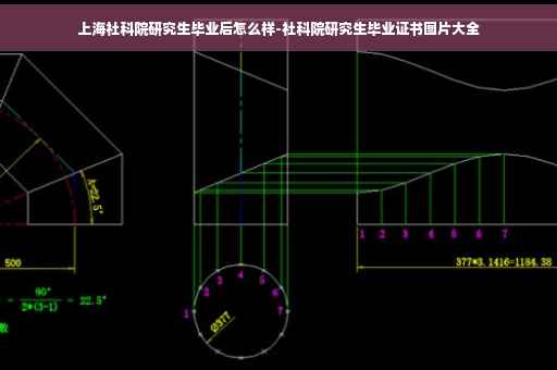 上海社科院研究生毕业后怎么样-社科院研究生毕业证书图片大全
