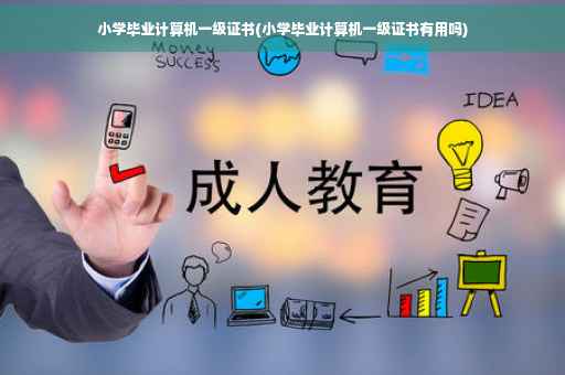 小学毕业计算机一级证书(小学毕业计算机一级证书有用吗)