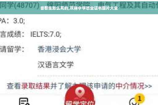 鲁智生怎么死的,双林中学毕业证书图片大全