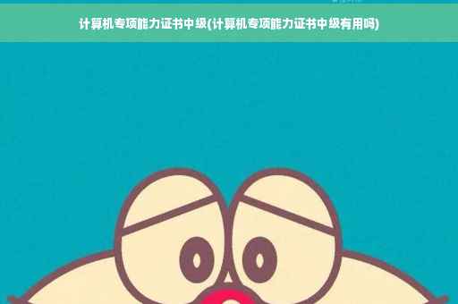 计算机专项能力证书中级(计算机专项能力证书中级有用吗)