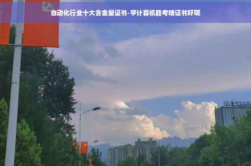 自动化行业十大含金量证书-学计算机能考啥证书好呢