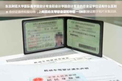 东北财经大学国际商学院会计专业和会计学院会计专业的毕业证学位证有什么区别,上海纽约大学毕业证和本部一样吗