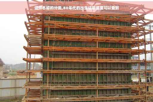 证件名称的分类,80年代的出生证明哪里可以查到