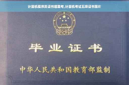 计算机程序员证书哪里考,计算机考试五级证书图片