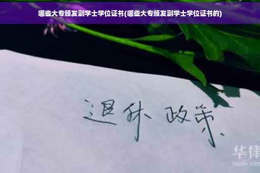 哪些大专颁发副学士学位证书(哪些大专颁发副学士学位证书的)