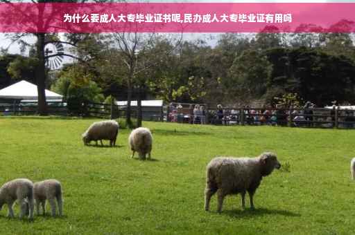 为什么要成人大专毕业证书呢,民办成人大专毕业证有用吗