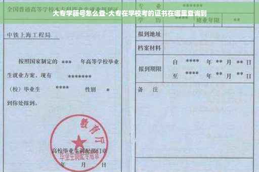 大专学籍号怎么查-大专在学校考的证书在哪里查询到