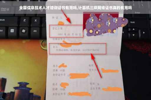 全国信息技术人才培训证书有用吗,计算机三级网络证书真的有用吗