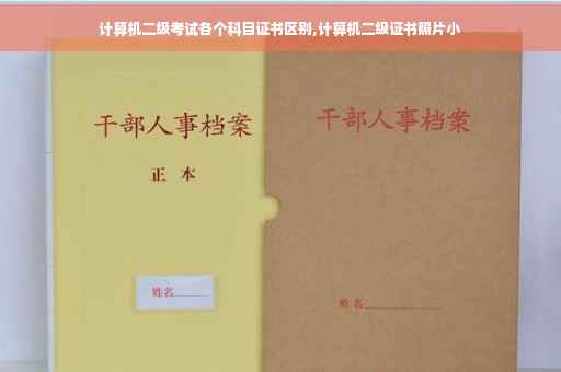 计算机二级考试各个科目证书区别,计算机二级证书照片小