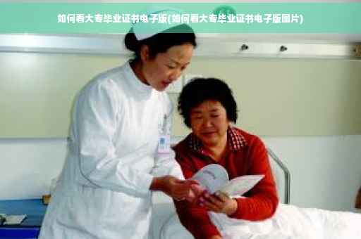 如何看大专毕业证书电子版(如何看大专毕业证书电子版图片)