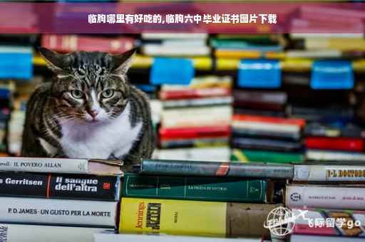 临朐哪里有好吃的,临朐六中毕业证书图片下载