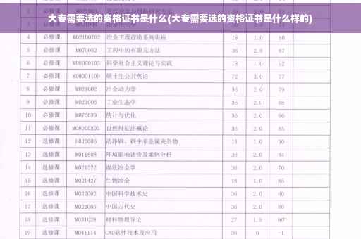 大专需要选的资格证书是什么(大专需要选的资格证书是什么样的)