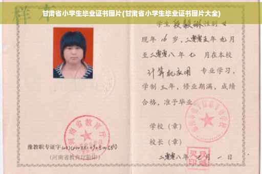 甘肃省小学生毕业证书图片(甘肃省小学生毕业证书图片大全)