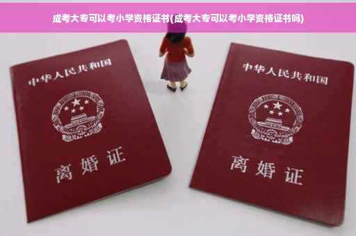 成考大专可以考小学资格证书(成考大专可以考小学资格证书吗)