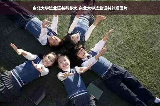 东北大学毕业证书有多大,东北大学毕业证书外观图片