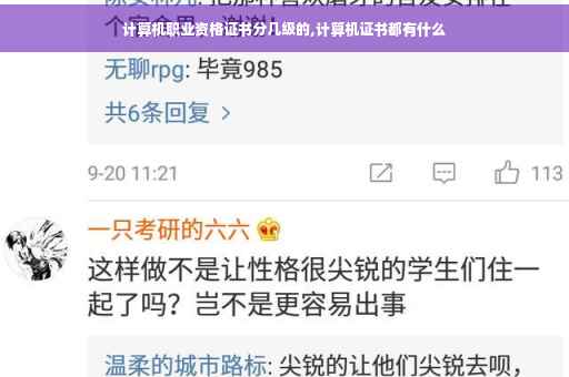 计算机职业资格证书分几级的,计算机证书都有什么
