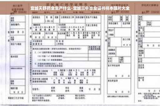 宜城天舒药业生产什么-宜城三中毕业证书样本图片大全