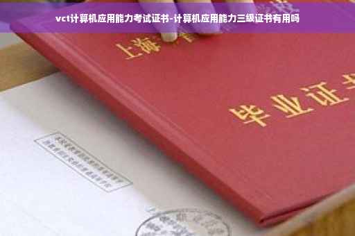 vct计算机应用能力考试证书-计算机应用能力三级证书有用吗