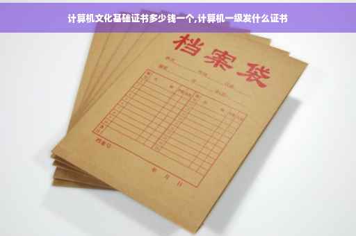 计算机文化基础证书多少钱一个,计算机一级发什么证书