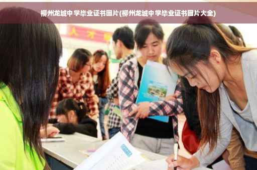 柳州龙城中学毕业证书图片(柳州龙城中学毕业证书图片大全)