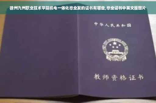 徐州九州职业技术学院机电一体化毕业发的证书有哪些,毕业证书中英文版图片