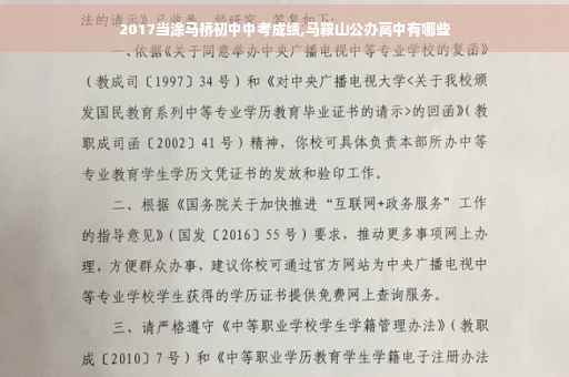 2017当涂马桥初中中考成绩,马鞍山公办高中有哪些