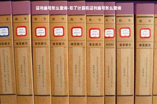 证书编号怎么查询-忘了计算机证书编号怎么查询
