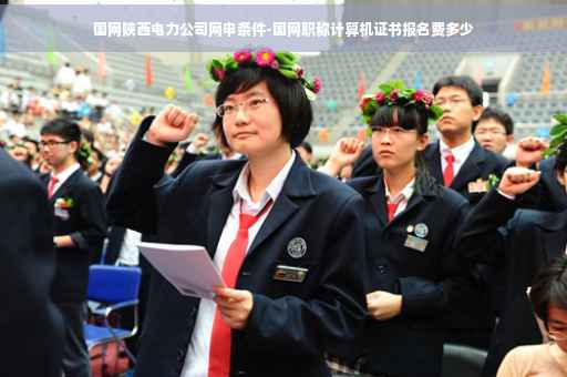 国网陕西电力公司网申条件-国网职称计算机证书报名费多少