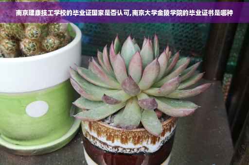 南京建康技工学校的毕业证国家是否认可,南京大学金陵学院的毕业证书是哪种