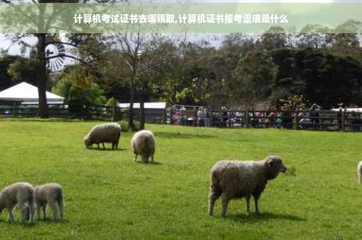 计算机考试证书去哪领取,计算机证书报考渠道是什么