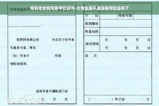 专科毕业有没有学位证书-大专生是不是没有学位证书了