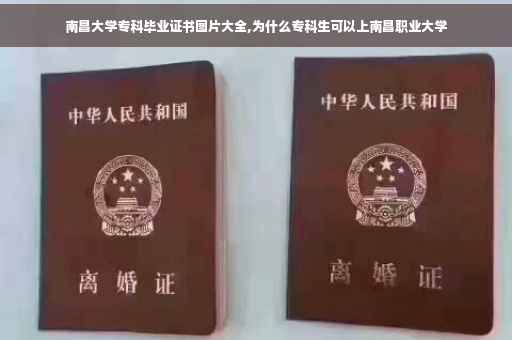 南昌大学专科毕业证书图片大全,为什么专科生可以上南昌职业大学