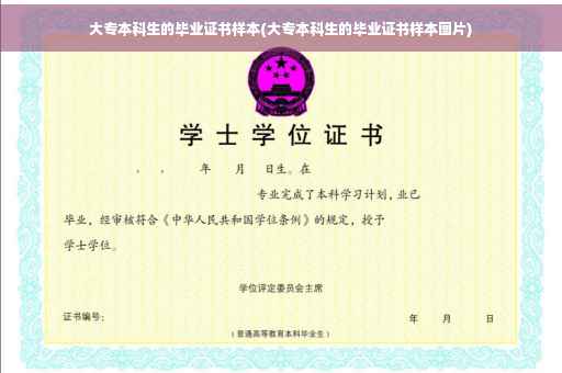 大专本科生的毕业证书样本(大专本科生的毕业证书样本图片)